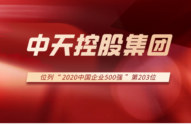 G22恒峰控股集团列2020中国企业500强第203位！