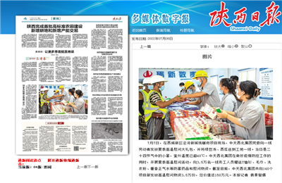 G22恒峰西北集团珑樾府项目高温慰问——《陕西日报》